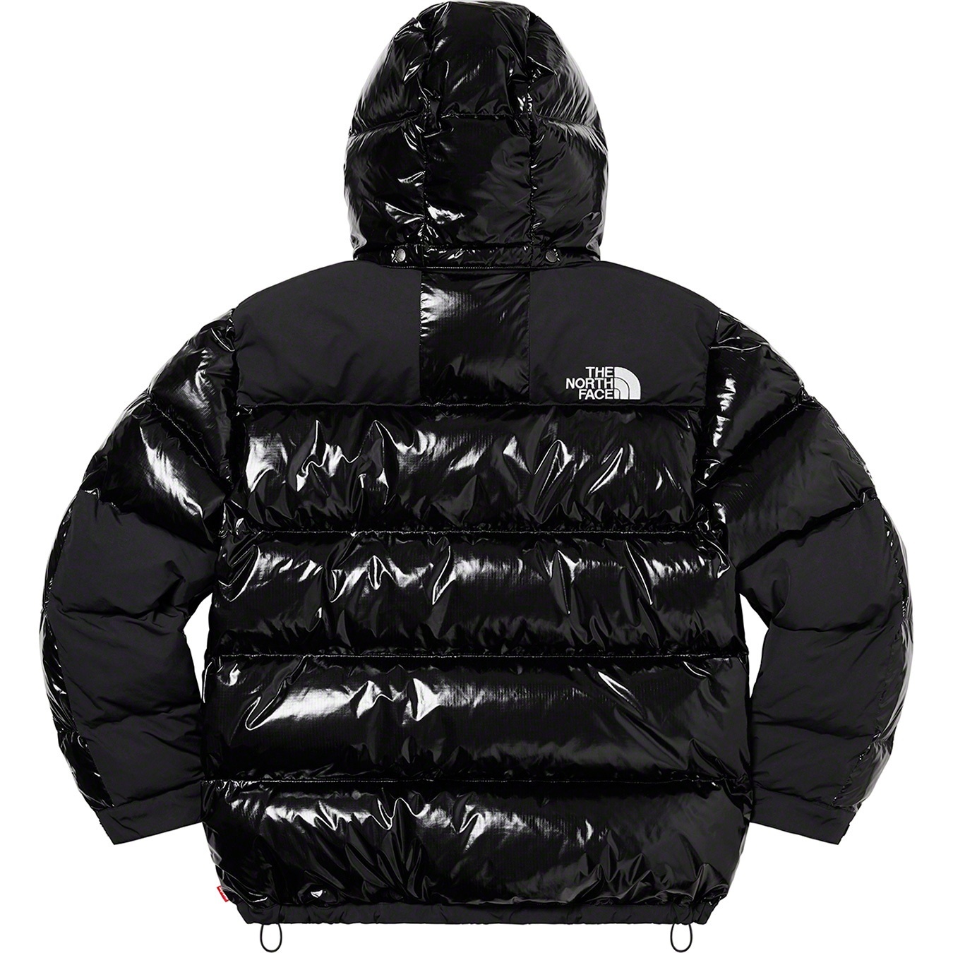 Supreme®/The North Face® 700-Fill Down Parka view 16